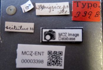 Media type: image;   Entomology 3398 Aspect: labels